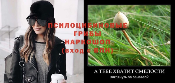 эйфоретик Наволоки