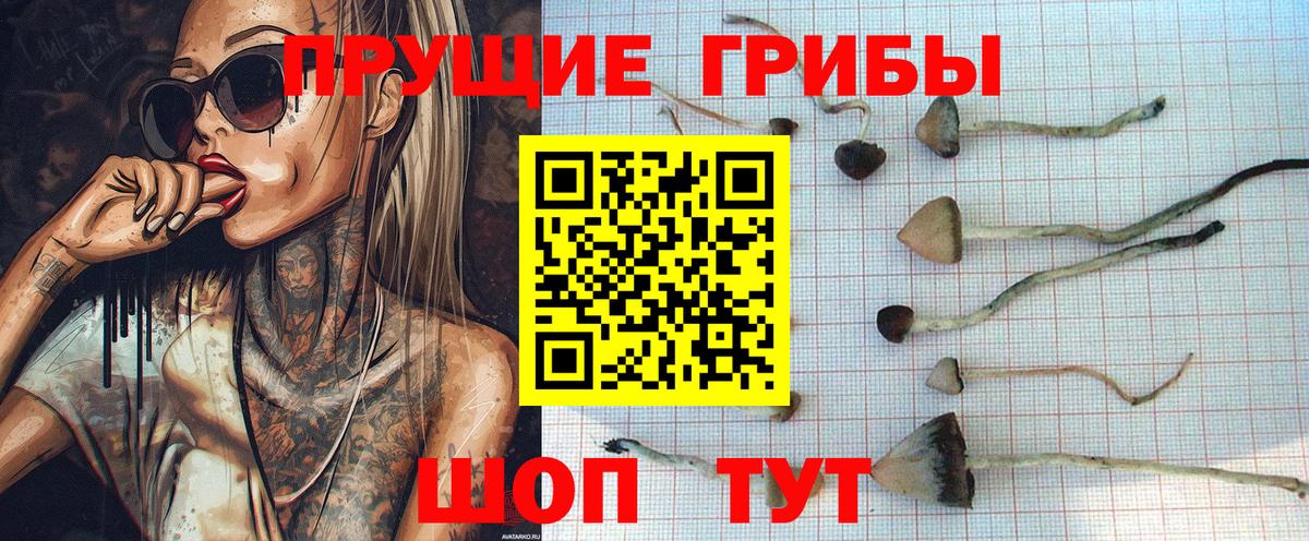 Переславль-Залесский  Галлюциногенные грибы ЛСД  Вход с VPN 